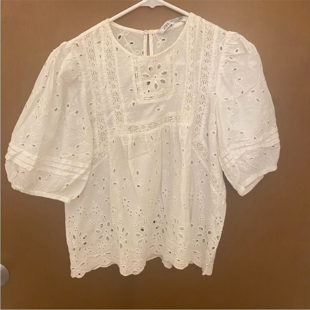 Zara embroidered balloon sleeve blouse